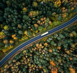 Trees